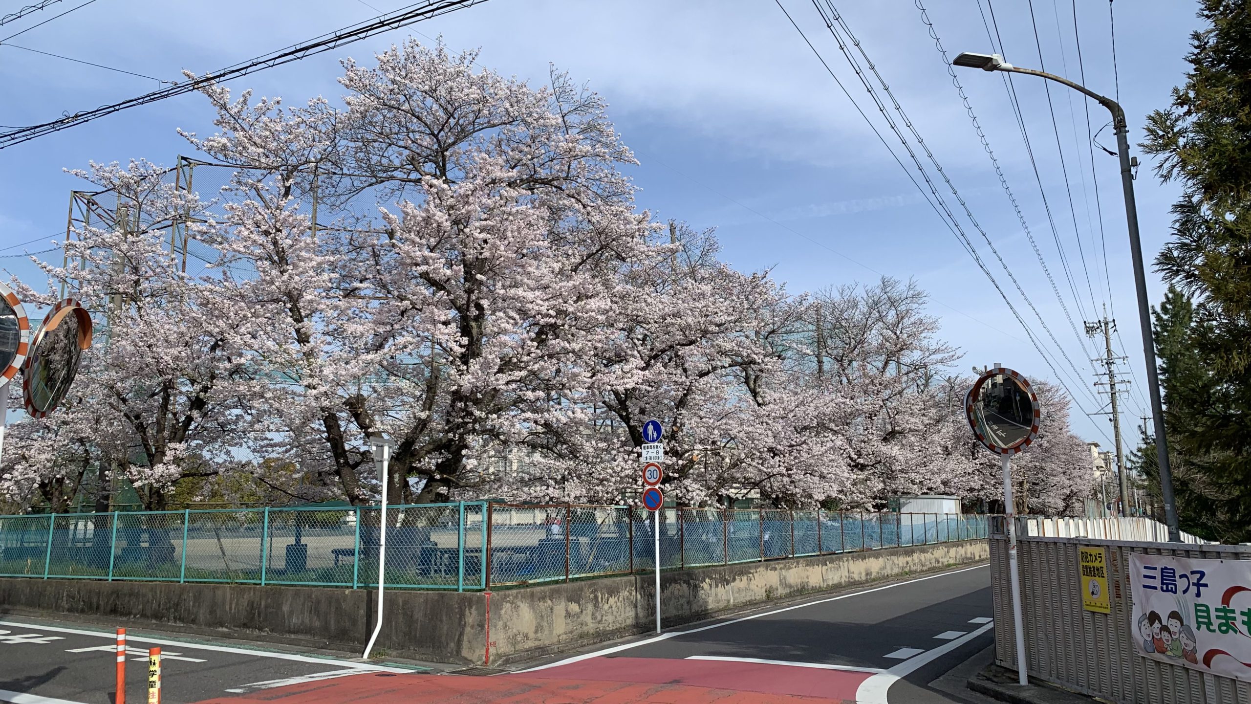 本日、地元岡崎は「家康行列」！　佐野勇斗さんが家康役で！