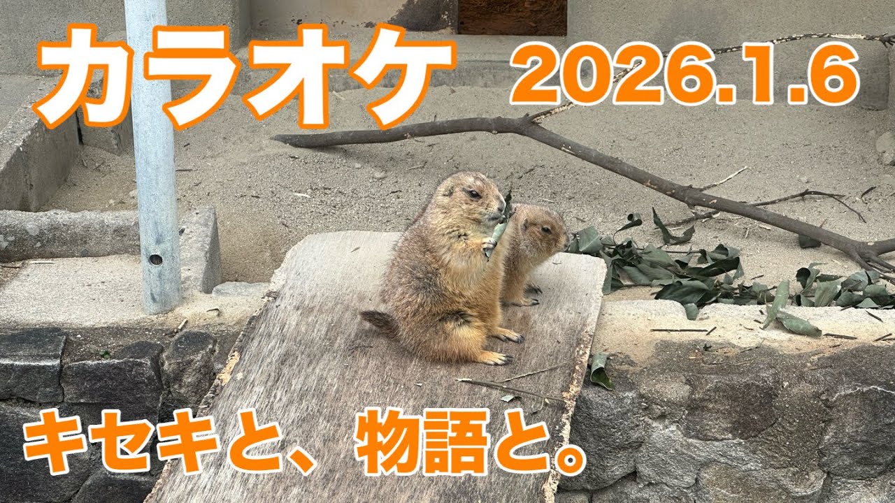 TAKE8｜ボーカル練習用｜カラオケ｜キセキと、物語と。